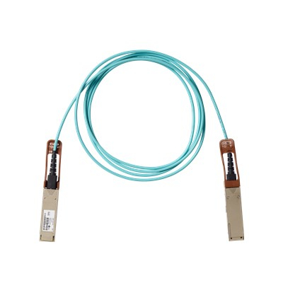 Cisco 100GBase direct attach cable